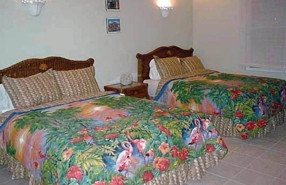 Dos Angeles Del Mar Bed And Breakfast-1